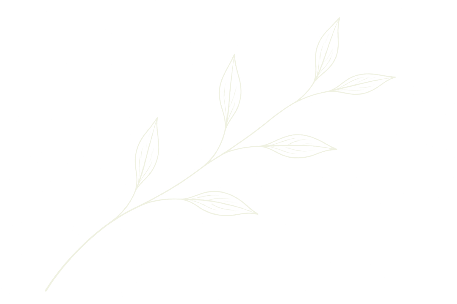 menopausia-ramita-tu-bienestar